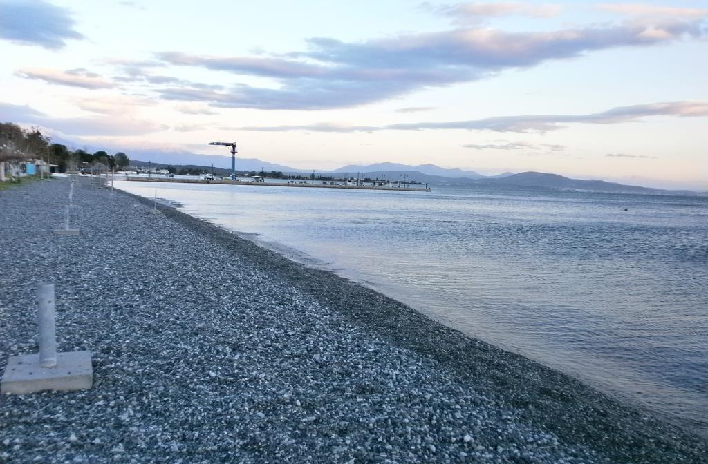 Artemis - Marina Apartments Evia Quarto foto