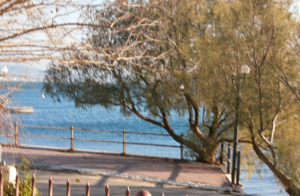 Artemis - Marina Apartments Evia Quarto foto